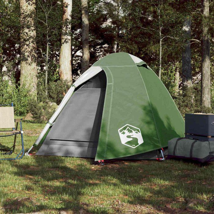 Tente de camping - vidaXL - 94327 - 2 personnes - Imperméable - Vert
