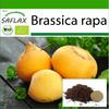 Органический - Репа - Голдана - 500 семян - С горшечным субстратом для лучшего выращивания - Brassica rapa