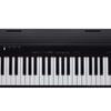 Roland GO-88P GO:PIANO (88-Key Entry-Level Keyboard with Original Case)