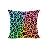 40X40Cm Sofa Cushion Sets In Europe And The United States Fashion Leopard Print Double-Sided Printed Pillowcase Chair Lumbar