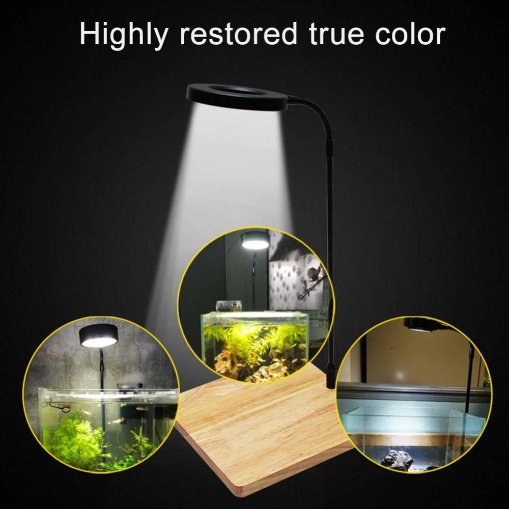 with Wood Board Aquarium Plant Fill Lamp 10W Indoor LED Growing Light LED Aquarium Light  Fish Tank
