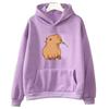 Unisex Funny Capybara Print Hoodie Women/Men Kawaii Cartoon Tops Sweatshirt for Girls Unisex Fashion Harajuku Graphic Hooded Pullovers