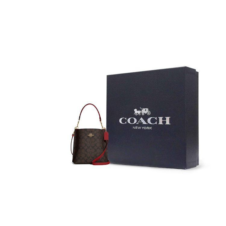 Coach Mollie Classic Logo Print Bucket Bag With Detachable Shoulder Strap Women Handbags Brown CA582-IMRVQ