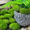 100/5PCS Artificial Moss Rocks Fake Stone Home Decor Creative Crafts Green Simulation Plant DIY Decoration For Garden Crafting