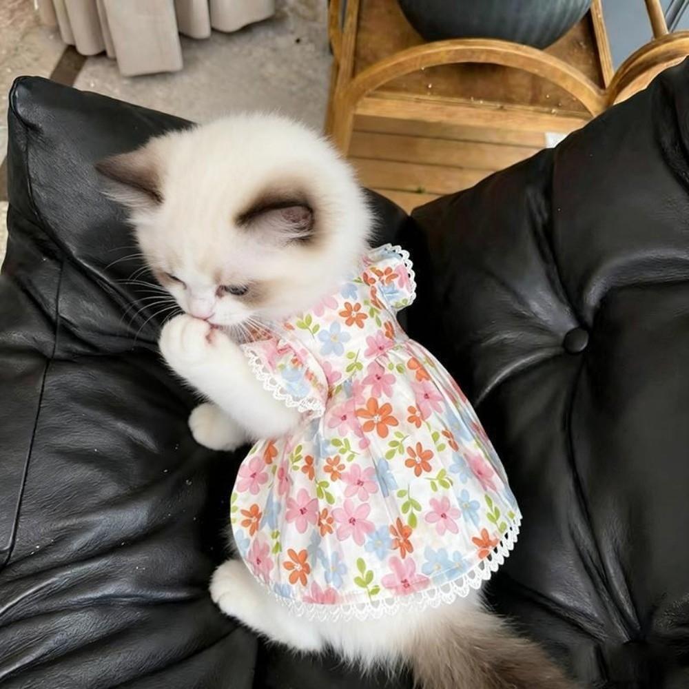 Летняя юбка для щенка Цветочный принт Корги Тедди Одежда Новая юбка для кошки и собаки Для маленькой собаки