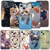 Чехол для телефона Cover для iPhone 17 Pro Max 16 15 14 13 12 11 Pro Max Plus 17AIR Ударопрочный Мягкий ТПУ Корпус Милый Кот Fundas Capas Сумки