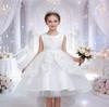 Европейское и американское детское платье принцессы: Официальное кружевное платье для девочки-цветочницы для выступлений