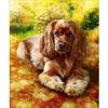Алмазная картина, наборы для вышивки крестом, сделай сам, алмазная вышивка, мозаика, картина с собакой, домашний декор, подарок