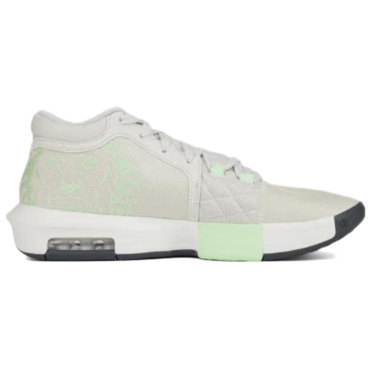Nike Мужские баскетбольные кроссовки LeBron Witness 8 EP HQ2140-002 Белый Черный