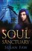 The Soul Sanctuary : Book Two of the Spirit Shield Saga : TWO Book