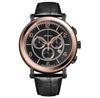 Часы Adriatica A8294.K254CH