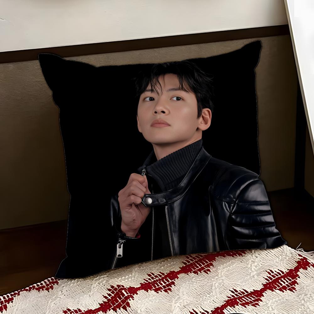 Ji CChang WWook Чехол для кушона Двусторонний Мягкий Прочный Чехол для подушки Дом Автомобиль Многоцелевое Использование для Ежедневного Комфорта