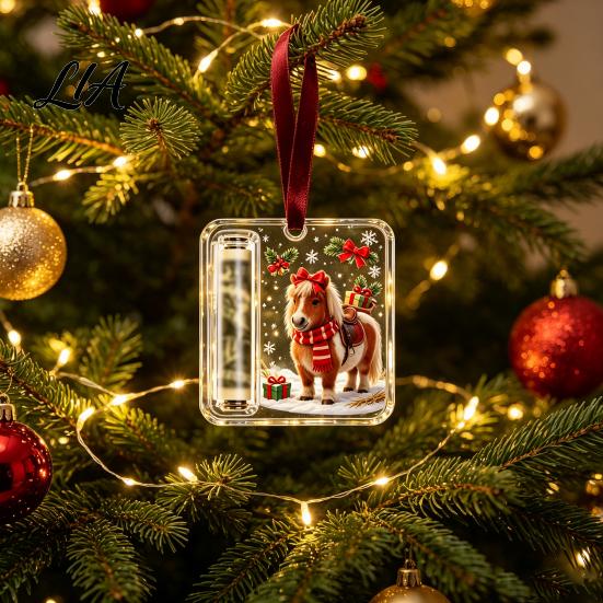 Decorative Money Container Christmas Holder Ornaments for Cash, Clear Acrylic Xmas Tree Cash Graduation Gift Hanging Decorations Holiday Party Favors,
