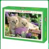 Cute Kitten Jigsaw Puzzle, 1000 Pieces, Size 70x50cm, Intellectual Puzzle, Gift, Birthday, Christmas, Stylish, Interior Decor