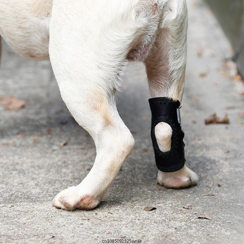 Pet Dog Knee Pads Support Brace for Leg Hock Joint Wrap Breathable Injury Recover Legs Dog Protector Support Protects Bandage
