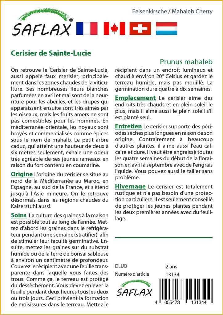 SAFLAX Махалеб Вишня - 30 семян - Prunus mahaleb