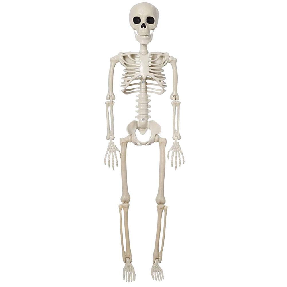 40/90 см Хэллоуин Скелет Сустав для Дома с привидениями Кладбище Хэллоуин Ужас Украшение Регулируемый Скелет Всего Тела Пояс Декор
