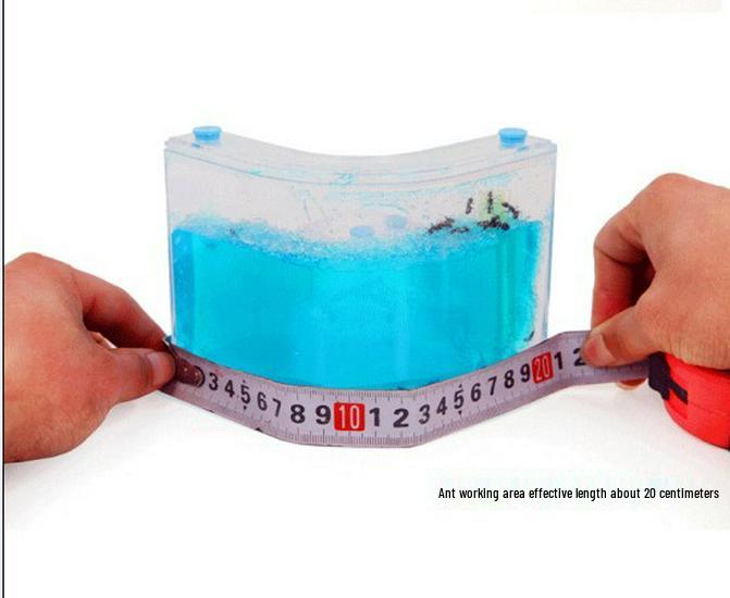 Ant Castle Ecosystem Toy with Free Shipping (Excludes Remote Areas)