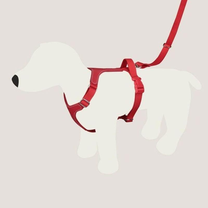 Signature Dog Harness RERE от GOPE GOPE