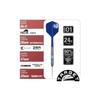Target Japan CHARIS G5 Кэти Люн Игрок 90% Вольфрам K-Flex Стальные Острые Дротики Набор, 22 г, Нет. Форма 6, Плавники и Хвостовики, SWISS SILVER NANO POINT 30мм