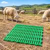 Plastic Slatted Sheep Floor Panel Reinforced for Farm Pens, Barns