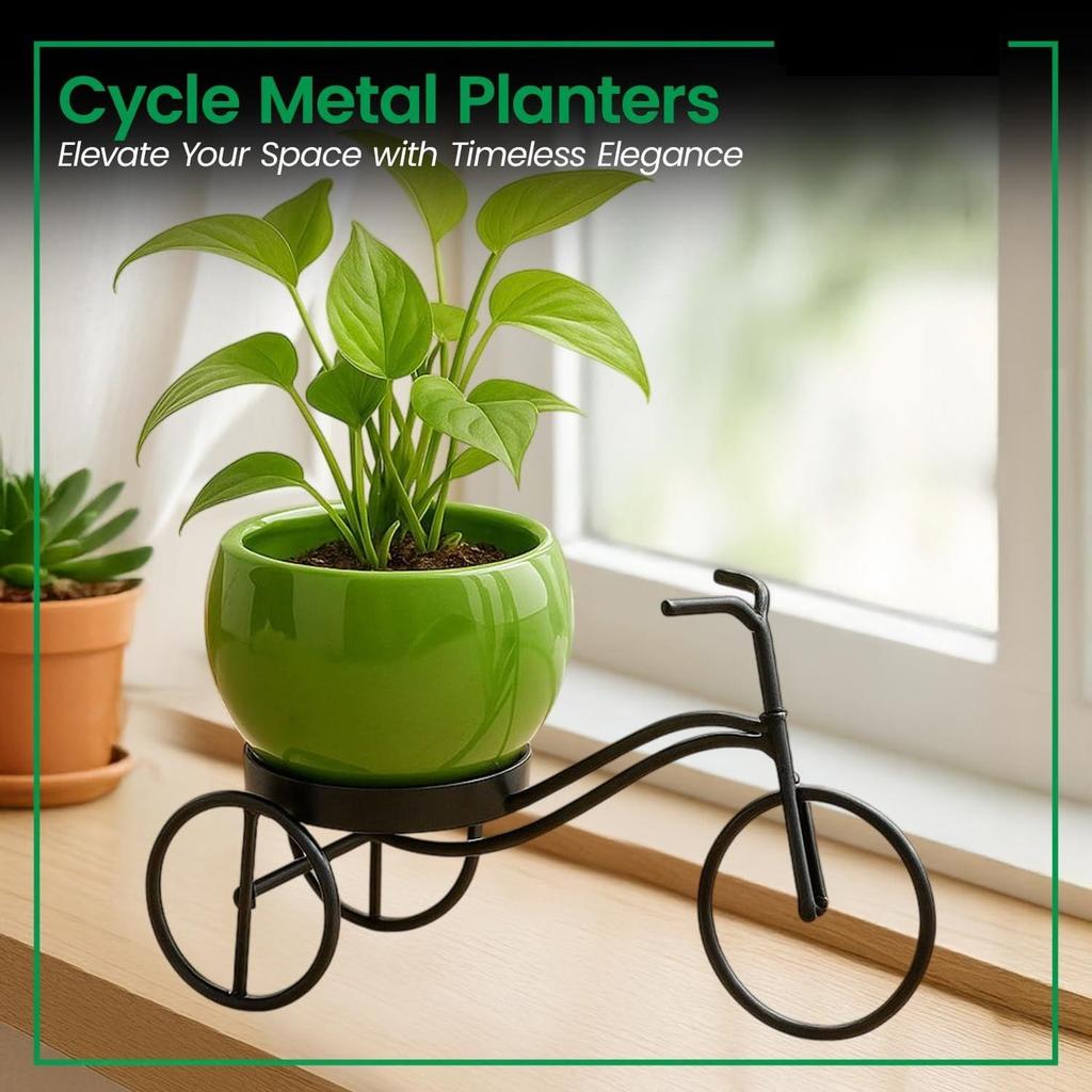 Cycle-Shaped Metal Plant Stand for Indoor & Outdoor Use, Metal Cycle Flower Vase, Decorative Iron Planter Pot Holder for Flowers & Ornaments