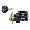 Daiwa Джиггинг 21 Saltiga IC 300