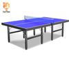 Xinglu Foldable Indoor Table Tennis Table