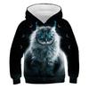 Autumn 3D Cat Pattern Printed Top Fashionable Casual Long Sleeved Children's Boy Hoodies