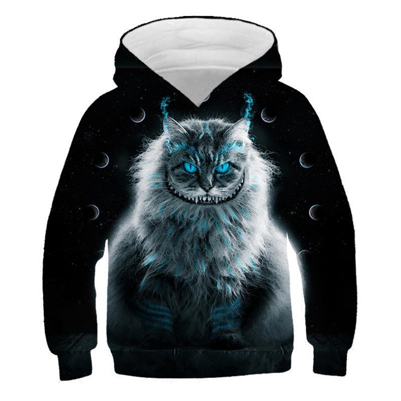 Autumn 3D Cat Pattern Printed Top Fashionable Casual Long Sleeved Children's Boy Hoodies