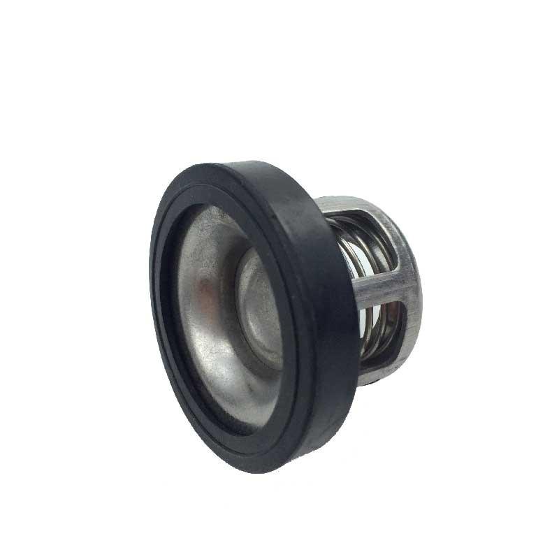 Stainless Steel Power Sprayer Pump Valve High Pressure Brass Engine 22/26 High Efficiency for Landscape Irrigation