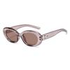 Fashion Y2k Small Frame Sunglasses Cool Girls Trend Punk Oval Sun Glasses Light Luxury Designer Retro Sport Sunglasses