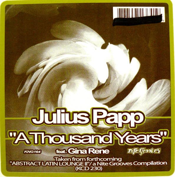 12-дюймовая пластинка JULIUS PAPP GINA RENE A Thousand Years KNG164KNG164 Nite Grooves 2002 США Танцевальная Электроника Б/у
