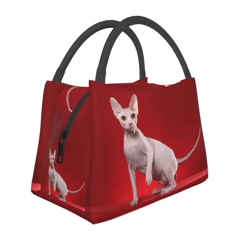 Термоизолированная сумка для ланча Shpynx Cat, женская, милая, с котенком, многоразовая, для пикника на открытом воздухе, для хранения еды, коробка для еды