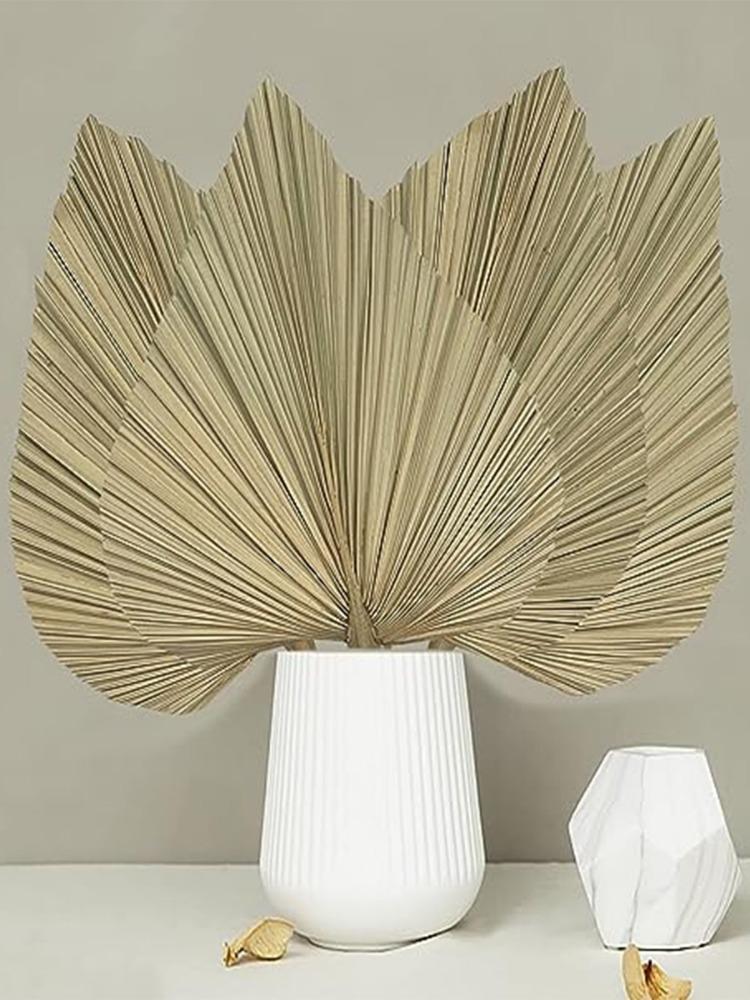 2 шт. пальмовых веера, натуральные сушеные пальмовые листья, в форме сердца, круглые веера, сушеный букет для свадьбы, домашней вечеринки, кухни, вазы, столовых композиций, украшения на годовщину