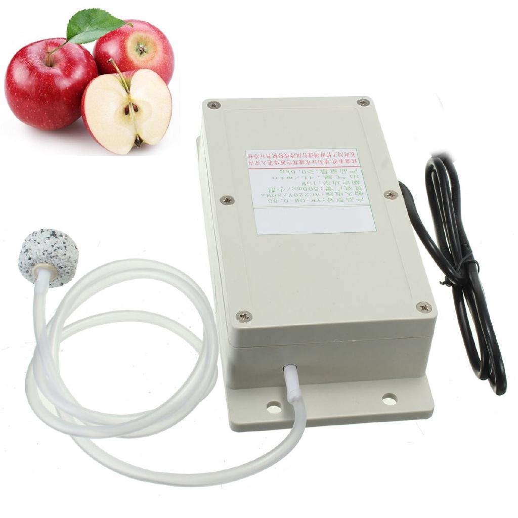 500mg Ozone Generator Air Purifier Household Disinfecti Air Food Fruit Vegetable Water Fish Tank Disinfector Sterilizer