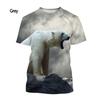 Men's and Women's Summer Casual Short-sleeved T-shirt New Fashion Polar Bear 3d Printing T-shirt