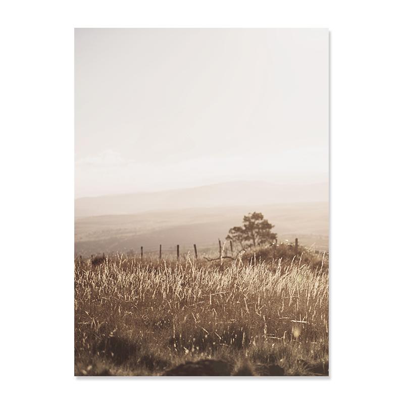 Бохо сушеные растения цветы травы пляжные волны пейзаж плакат холст живопись настенная живопись печать фотографии для гостиной домашний декор