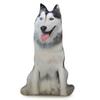 3D имитация собаки подушка животное кукла креативная кукла милая спящая кукла хаски плюшевая игрушка