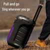 Philips SD189 Portable Bluetooth Trolley Speaker