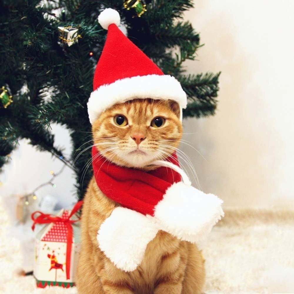 2Pcs/Set Christmas Dog Scarf Collar Winter Cat Scarf Hat Cute Pet Neck Warmer for Small Dogs
