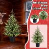 90CM Norfolk Christmas Tree Front Door Christmas Tree Decoration Indoor Living Room Christmas Decoration