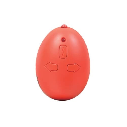 Doyusha Infrared RC Series Centipede Electric Infrared Control No. 9901