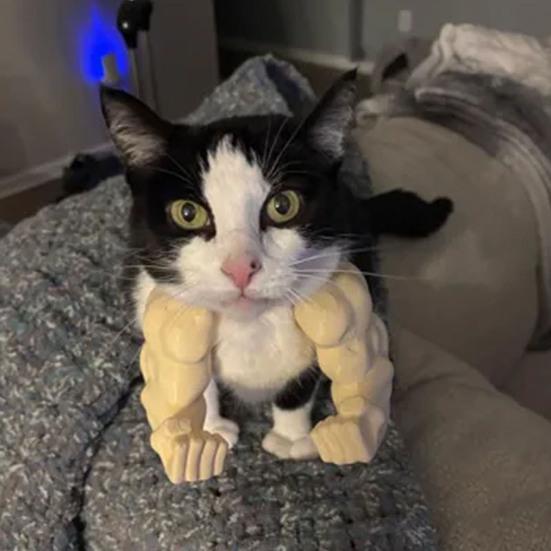 Yousheng Cat Muscle Arm 3D Printed Neck Arm with Muscle Pet Cosplay Costume Accessories for Halloween Birthday Party Supplies