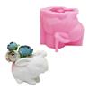 Rabbit Shaped Mold Succulent Flower Pots Mould Pen Holder Silicone Molds Concrete Plasters Mould for Enthusiasts
