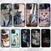 Подходит для чехла для мобильного телефона iPhone16, нового милого синего кота.