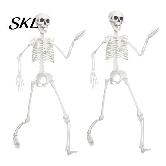 Poseable Halloween Prop 3ft Life Size Skeleton, Full Body Posable Plastic Skeleton Prop, Realistic with Movable Jaw Human Bones Model for Yard