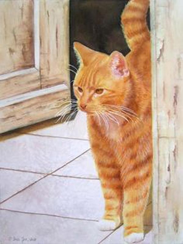 DIY алмазная живопись животное вышивка крестом ремесло полная круглая дрель кошка мозаика Алмазная вышивка домашний декор стены