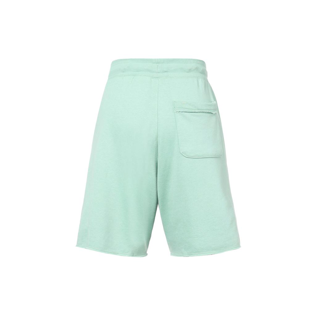 Nike Спортивные шорты мужские Mineral Moderate DX0767-309