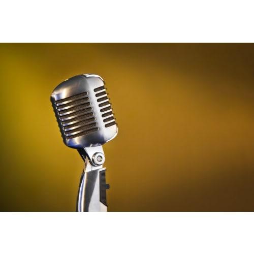 333 Products Skull-Shaped Dynamic Microphone, Silver, with Storage Bag and 5m Canon (XLR) Cable